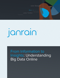 From Information to Insights: Understanding Big Data Online