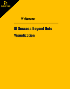 BI Success Beyond Data Visualization