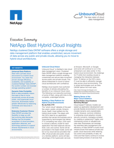 NetApp Best Hybrid Cloud Insights