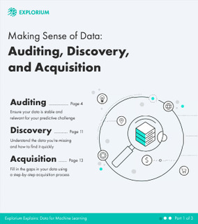 Making Sense of Data: Auditing, Discovery, and Acquisition