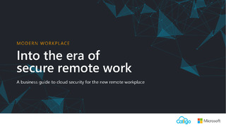 Into The Era of Secure Remote Work