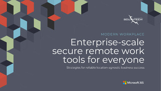 Enterprise-Scale Secure Remote Work Tools for Everyone