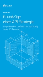 Grundzüge einer API-Strategie