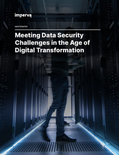 Meeting Data Security Challenges in the Age of Digital Transformation