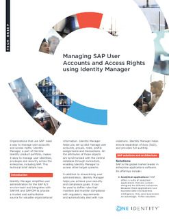 Protected: Managing SAP User Accounts and Access Rights using Identity Manager