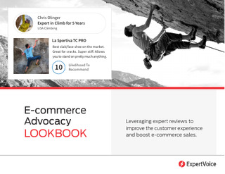 E-Commerce Advocacy Lookbook