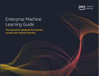 Enterprise Machine Learning Guide