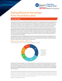 Gaining Business Advantage from Cloud Data Lakes