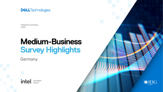 Medium-Business Survey Highlights: Germany