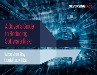 A Buyer’s Guide to Reducing Software Risk: What Your Day Could Look Like