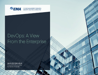 DevOps: A View From the Enterprise