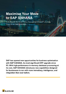 Maximise Your Move to SAP S/4HANA
