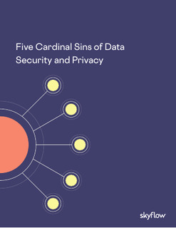 Five Cardinal Sins of Data Security and Privacy