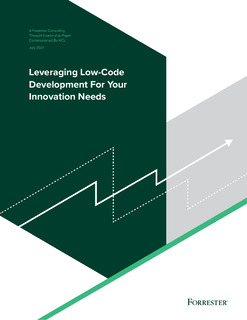 Leveraging Low-Code Development For Your Innovation Needs