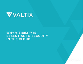 eBook: Why Visibility is Essential to Security in the Cloud