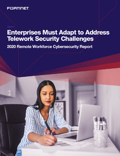 Enterprises Must Adapt to Address Telework Security Challenges