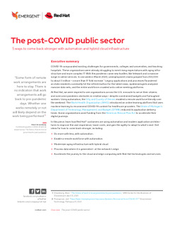 The Post-COVID Public Sector