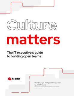 Culture Matters: The IT Executive’s Guide to Building Open Teams