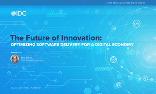 The Future of Innovation: Optimizing Software Delivery for a Digital Economy