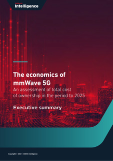 The Economics of 5G mmWave