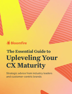 The Essential Guide to Upleveling Your CX Maturity