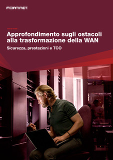 Approfondimento sugli ostacoli alla trasformazione della WAN