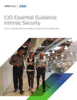 CIO Essential Guidance: Intrinsic Security