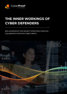 The Inner Workings of Cyber Defenders
