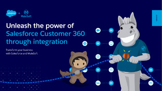 Unleash the power of Salesforce Customer 360 through integration