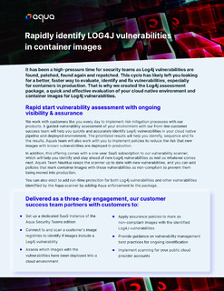 Rapidly Identify Log4j Vulnerabilities