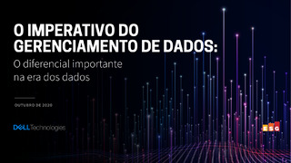 O Imperativo Do Gerenciamento de Dados: O diferencial importante na era dos dados