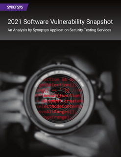 2021 Software Vulnerability Snapshot Report