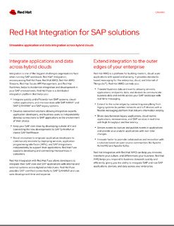 Streamline Your SAP Application Life Cycle