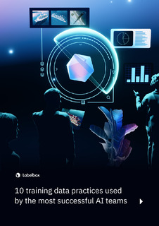 10 Training Data Practices Used by the Most Successful AI Teams