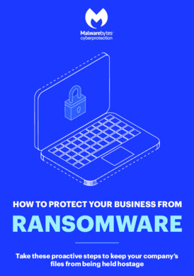 How To Protect Your Business From Ransomware Infographic