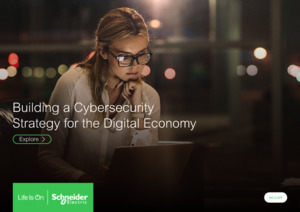 Building a Cybersecurity Strategy for the Digital Economy