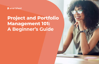 Project and Portfolio Management 101: A Beginner’s Guide