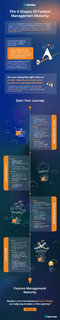 Feature Management Maturity Model