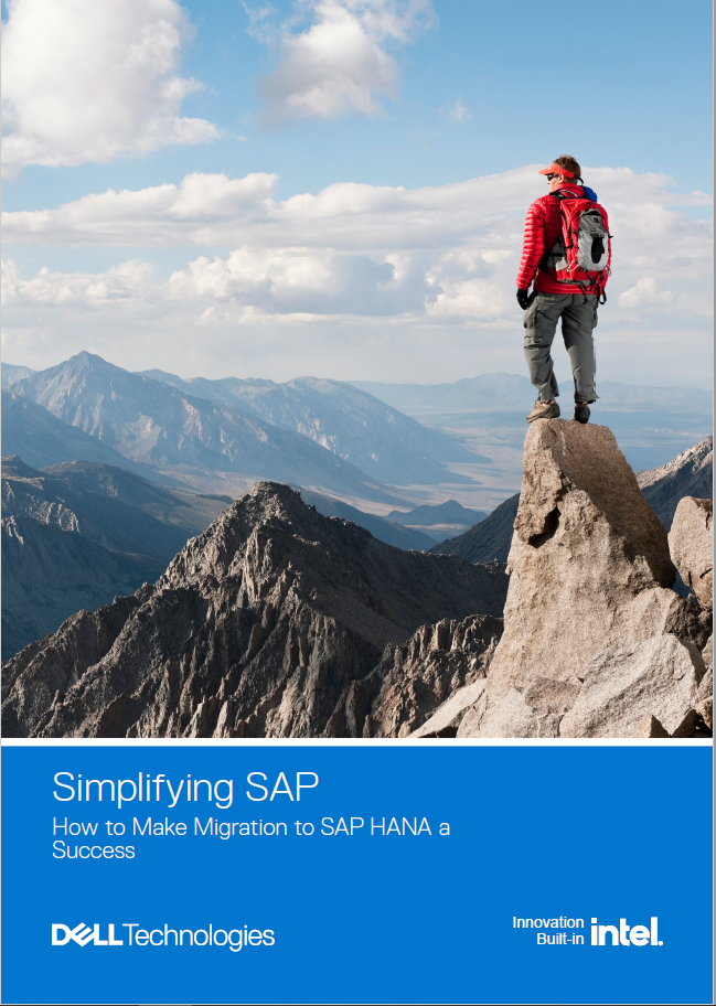 Simplifying SAP. How to Make Migration to SAP HANA a Success