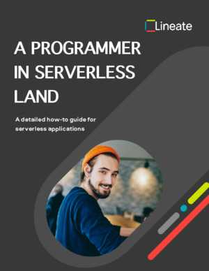 A Programmer In Serverless Land