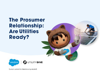 The Prosumer Relationship: Are Utilities Ready?