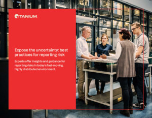 Expose the Uncertainty: Best Practice for Reporting Risk