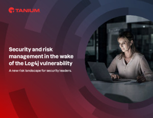 Security and risk management in the wake of the Log4j vulnerability