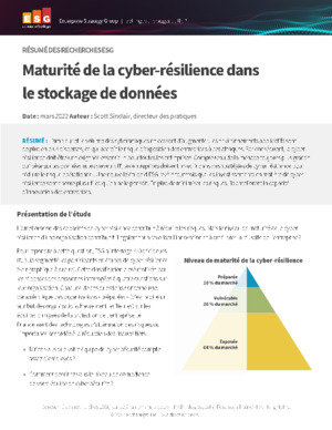 Stratégie de stockage : Clé de la cyber-résilience