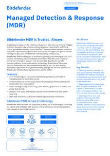 Managed Detection & Response (MDR)