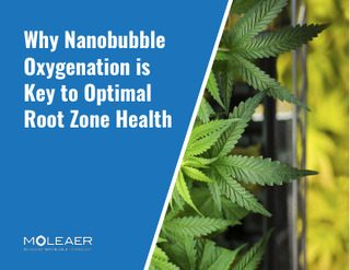Why Nanobubble Oxygenation is Key to Optimal Root Zone Health