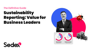 The Definitive Guide Sustainability Reporting: Value for Business Leaders